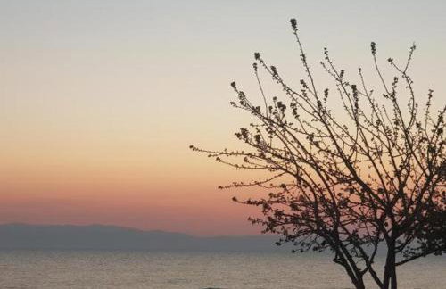 kristina family home - Foto 4