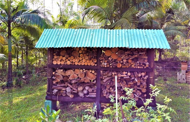 Sitio Libardo - Nova Trento - SC - Foto 46