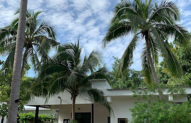 155 SalaCoco - Foto 57