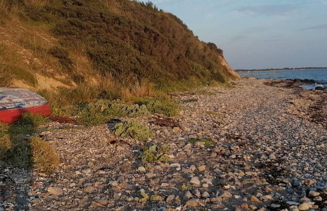 4 Person Holiday Home in Slagelse - Foto 31