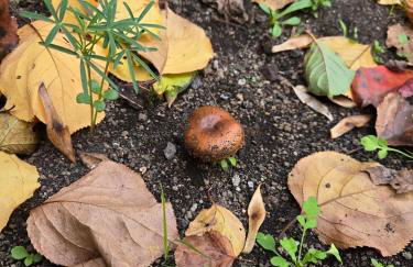 ETNAGLOW Luxory Sicilian Villa - Foto 64