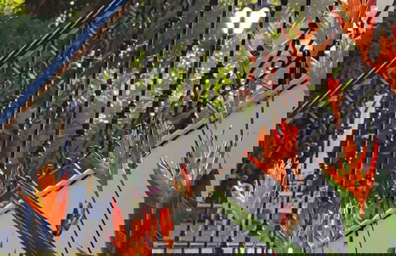 Hotel Fazenda Villa-Forte - Foto 67