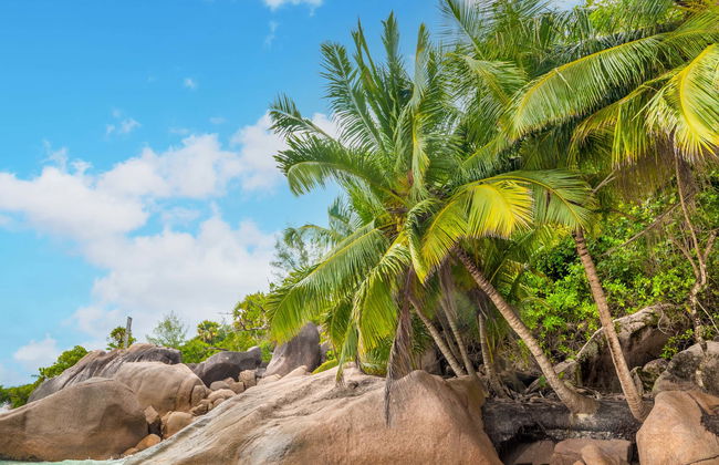 Excursion à Praslin et La Digue - Photo 1