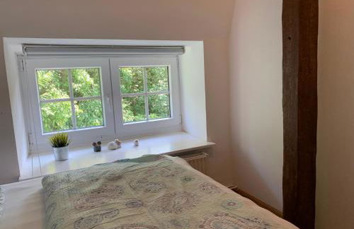 Landhaus Haack - Foto 44