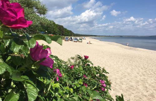 Haus Sterntaucher Ferienwohnung "Sonnenstern" - Foto 31