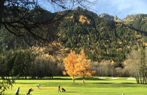 Apartment Chinook,La Praz,Chamonix Mont Blanc - Photo 49