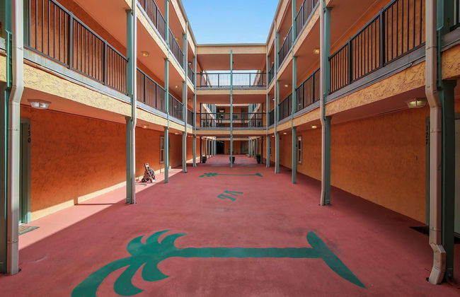 Maravilla 233 - Indigo Flamingo - Foto 6