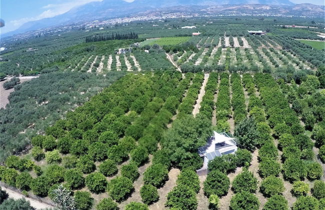 Farm House in Bio Orange Plantation - Foto 8