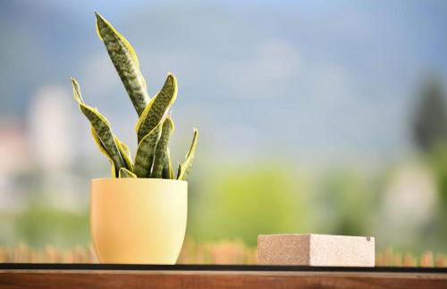 Taygetos Escape Sparta - Foto 4