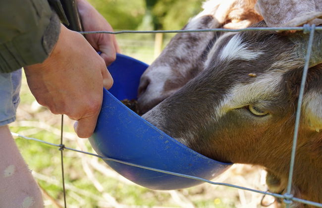 1 Bed 17th Century Stone Cottage in Rural Devon - Foto 17