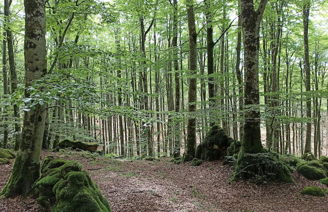 Casa Rural Ttipiaenea Landetxea - Photo 23