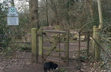 Ghyllie Cottage - Foto 28