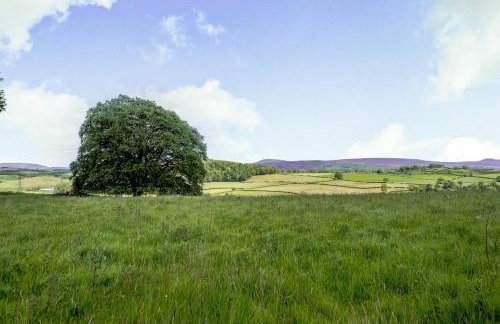 Pickle Barn - Foto 34