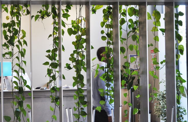 Study Hôtel - Foto 2