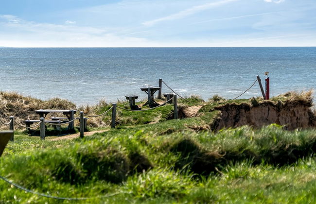 "Trifun" - 50m from the sea - Photo 13