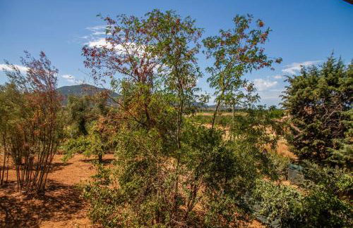 Vecchio Molino - Foto 6