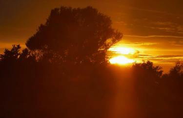 Niebieski Domek - Foto 64