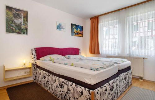 Ferienwohnungen Gierer - Photo 49