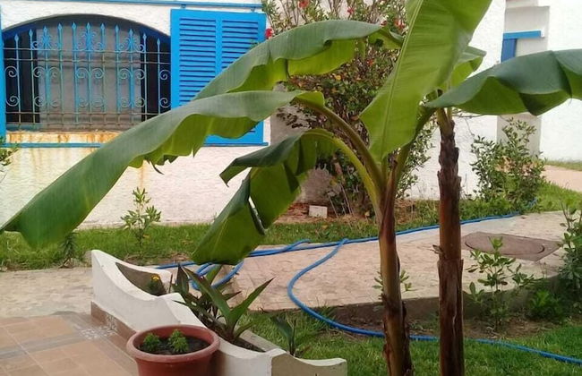 Fdw Chalet - Foto 15