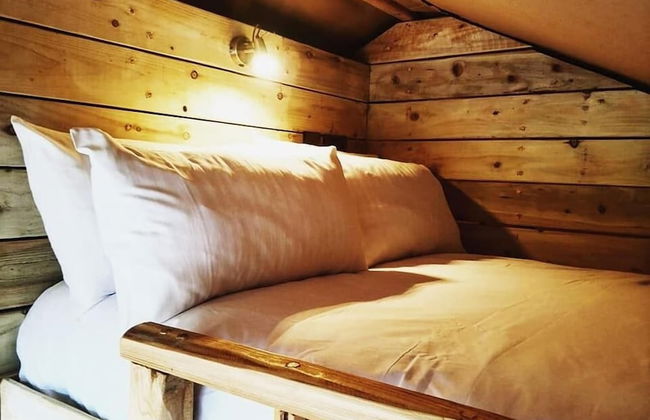 Torre Cider Farm - Foto 1