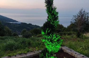 Little Villa - Foto 80