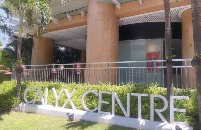 Calyx Centre - Foto 11