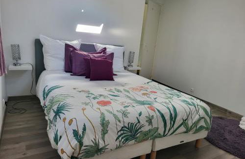 Lou Palmieri - Foto 11