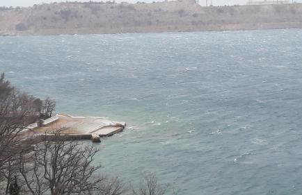 Primavera - Photo 21