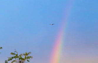 Peach Pine House - Escape Near City, Beach and Athens Airport - Foto 31