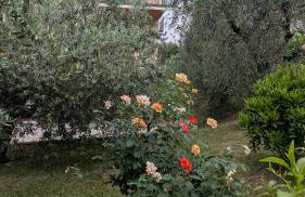 Apartment with great views on Lake Garda - Foto 40