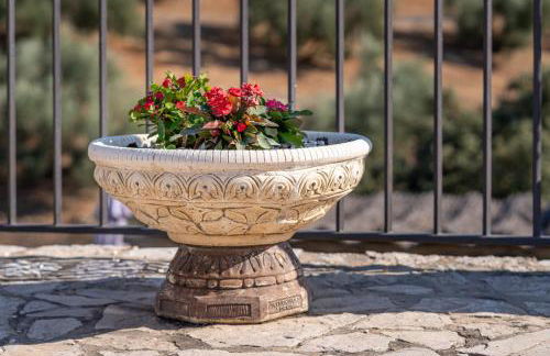 Hacienda la buena vida B&B en appartementen casita almendas - Foto 25