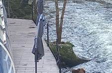 Piso Villa Aurora - Foto 7