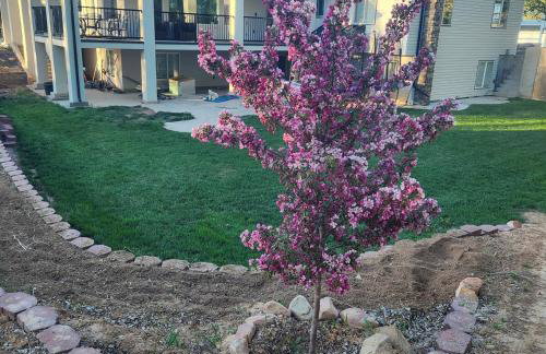 The Elevated Retreat - Foto 9