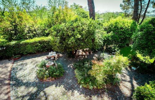 Villa il Cardinale - Foto 12