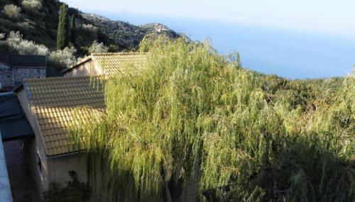 Carmel Villas - Photo 5