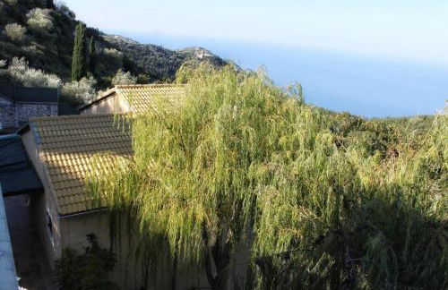 Carmel Villas - Photo 5