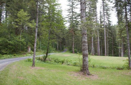 Kanati Falls Ranch - Foto 30