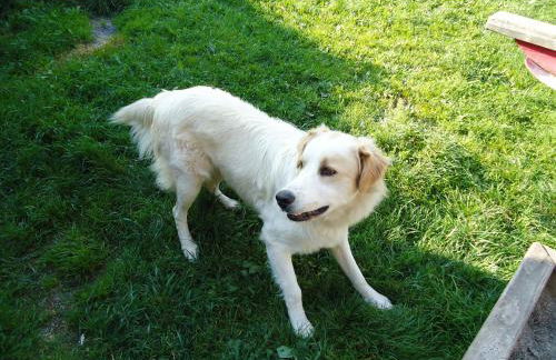 Oberschoellberghof - Photo 16