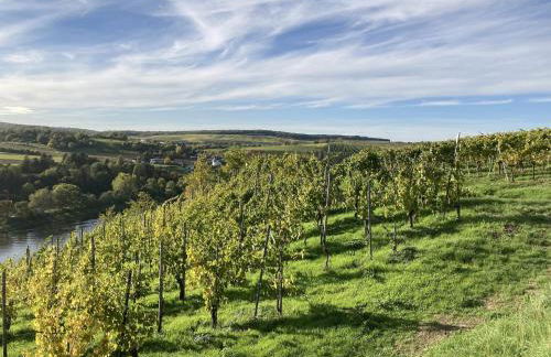 Moselle River Retreat - Foto 31