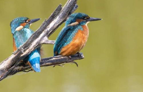 Riverside Retreat - Photo 66