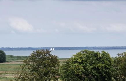 1-Zi Fewo Rankwitz,Usedom - Foto 16