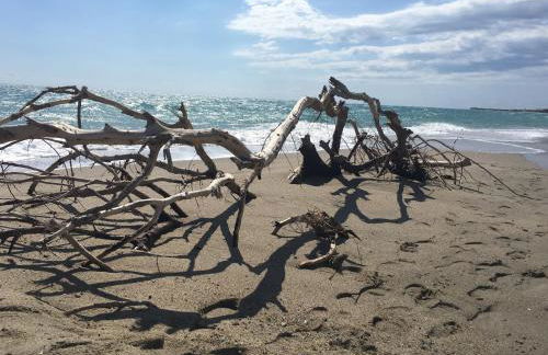 BORGO PETELIA, "Casa Perri", antica casa ristrutturata con terrazzo - Foto 26