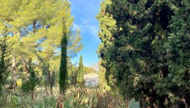 Mas de la Cadenière - Foto 3, Garden view