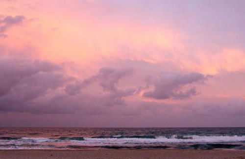 Calamilloraptm2 - Foto 36