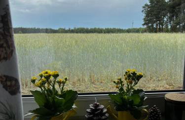 Szyszkowy Domek - Foto 26