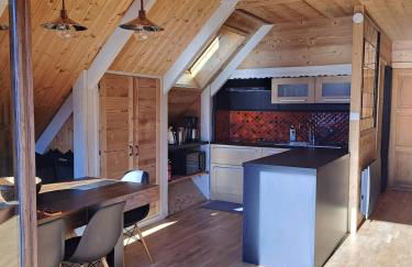 Chalet 8 personnes, Le Grand broue à Huez - Foto 20