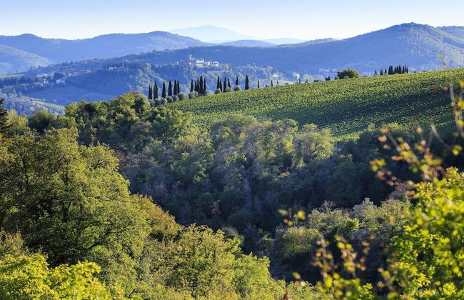 Colto Dei Pallanti in Radda in Chianti - Foto 6