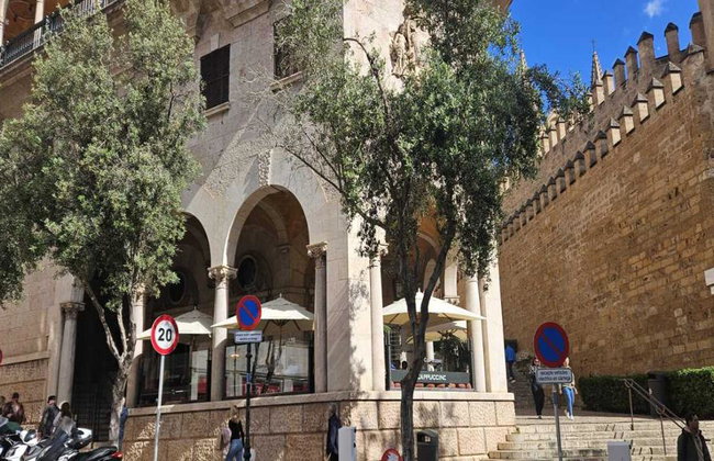 Ultimate Palma Tour: Historic Highlights Palaces, Gardens & Cathedral Tour - Foto 16