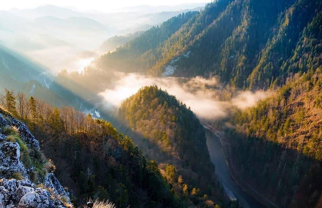 Jaworki Green Dream - Foto 55