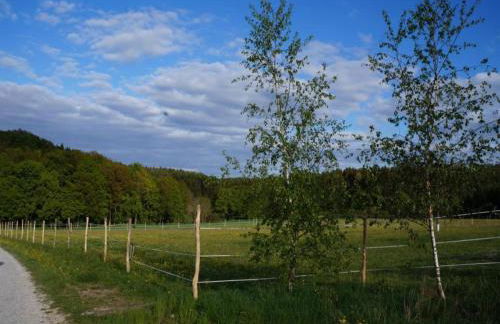 Das Kuenstlerhaus in Kammerstein - Photo 30